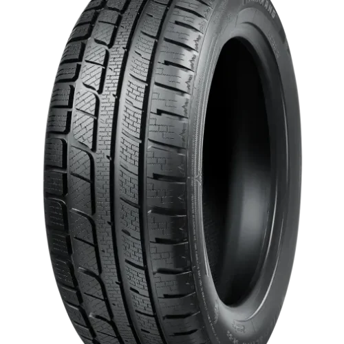 275/45 R20 NANKANG SV-55 110V (D,C,73)