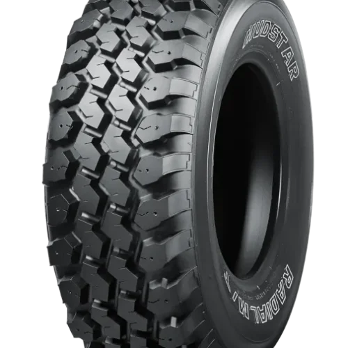 255/75 R17 NANKANG N889 111/108Q (N,N,N/A)