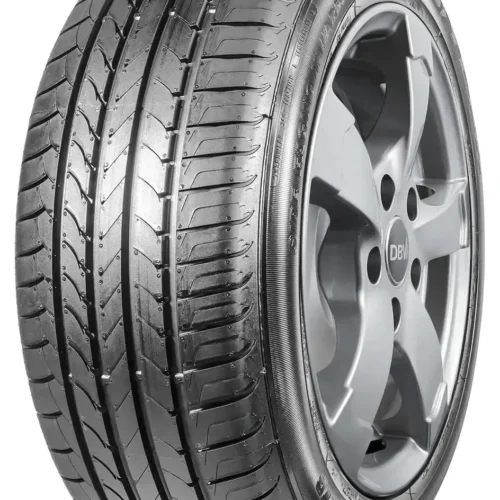 205/50 R17 GOODYEAR EFFICIENTGRIP 89W (C,B,69)