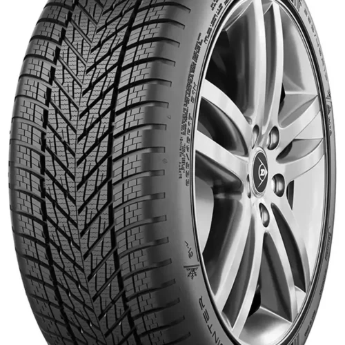 185/65 R15 DUNLOP WINTER 92T (C,C,70)
