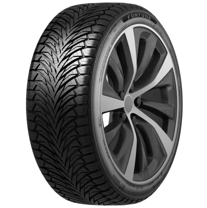 185/65 R15 FORTUNE FitClime FSR-401 92V (C,B,72)
