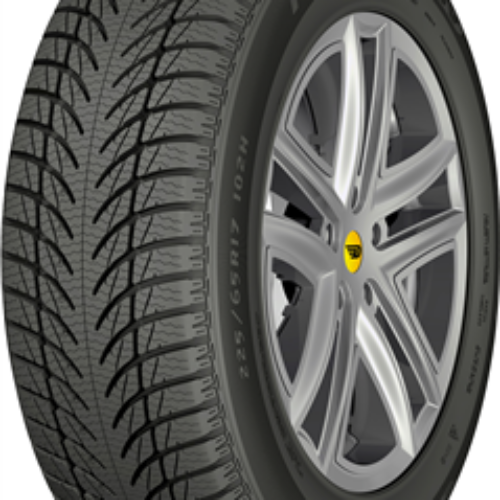 205/55 R16 DEBICA FRIGO 2 91T (C,C,71)