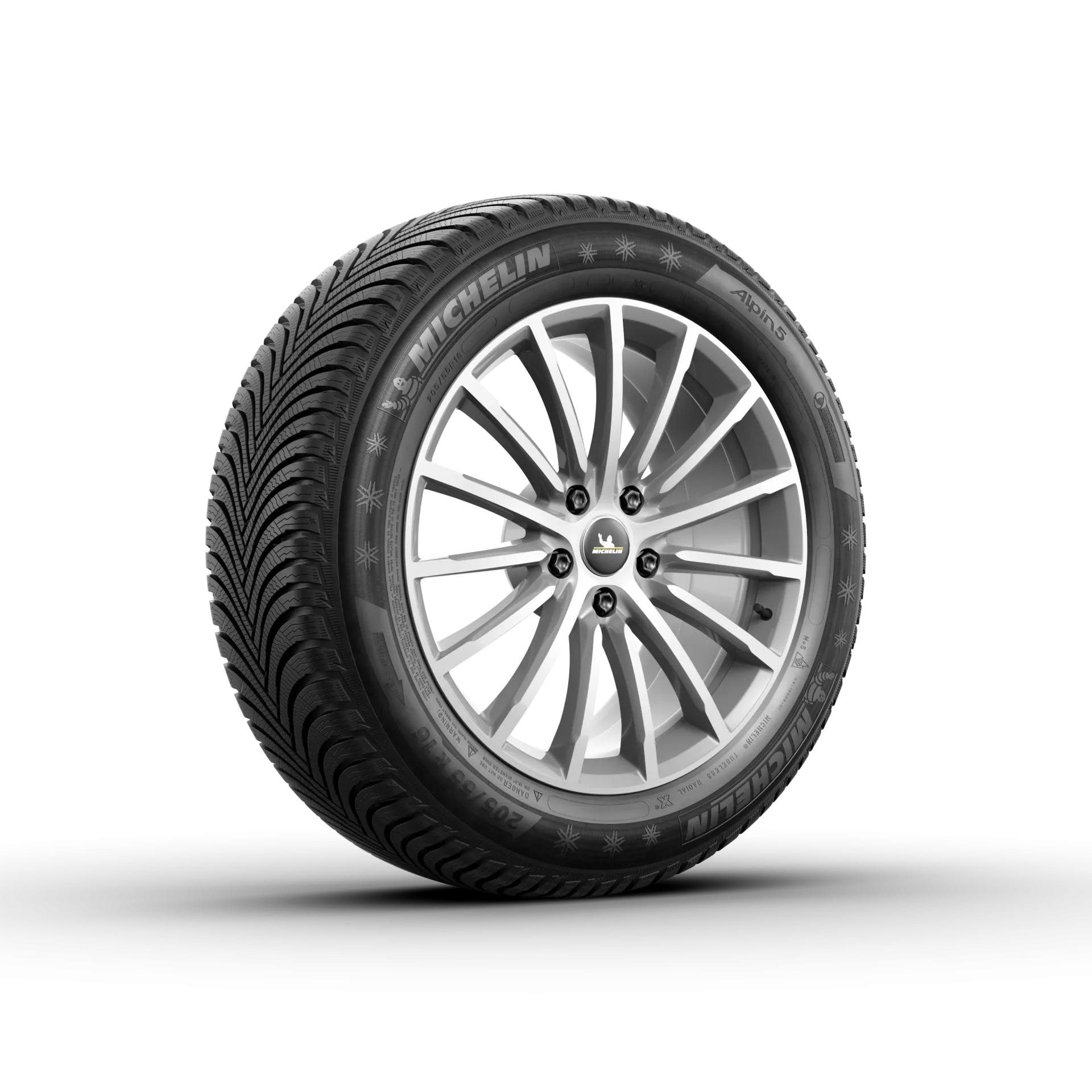 205/65 R16 MICHELIN ALPIN 5 95H (D,B,68)