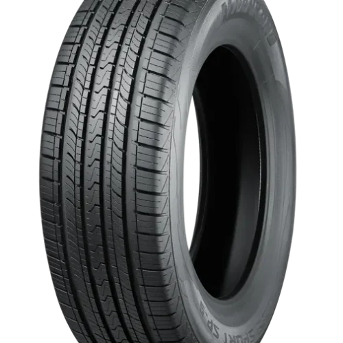 265/45 R20 NANKANG SP-9 108Y (C,B,73)